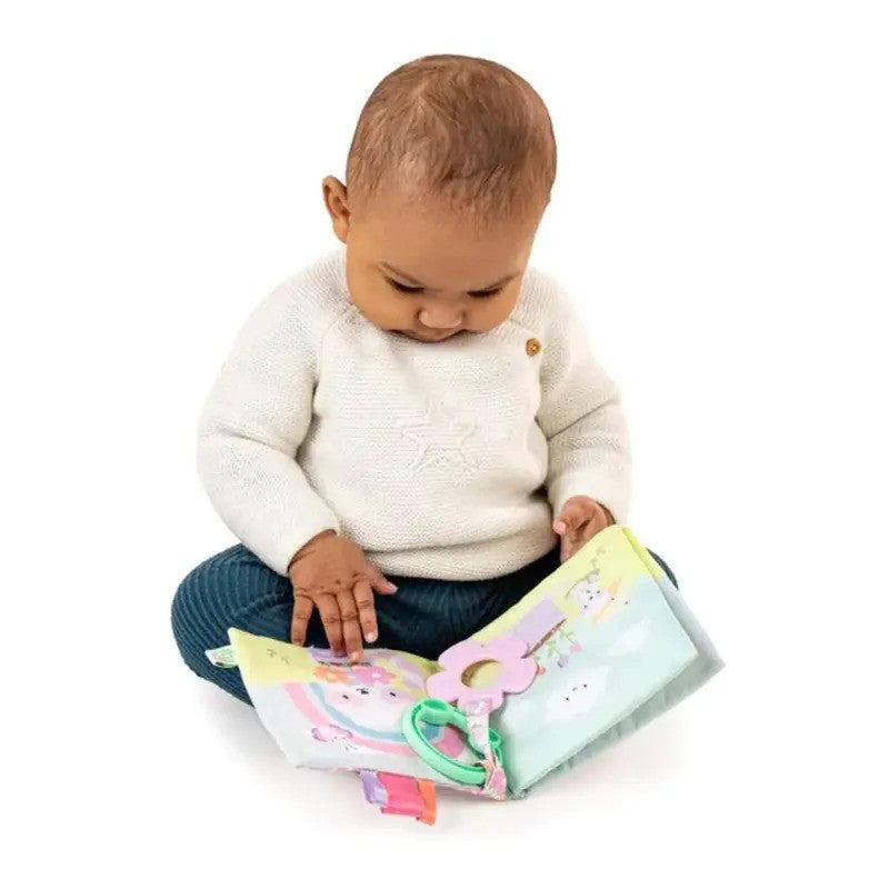 Ingenuity Soft Book 4 Plush Pages Deni The Raccoon (0-36m)