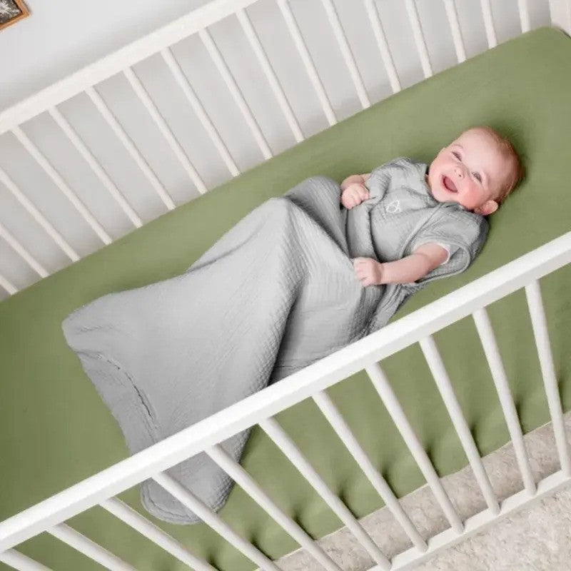 Ingenuity Swaddleme Night Sack Sleeper 2.5Tog Flock (1pack 3-18m)
