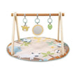 Ingenuity Wonder & Wood Wooden Toy Arch & Play Mat (0M-Plus)