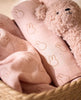 Jollein Rattle Teddy Bear (0m-Plus) Wild Rose