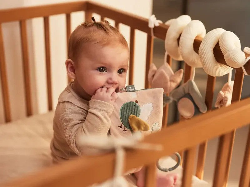 Jollein Soft Activity Book (0M-Plus) Lovely Birds