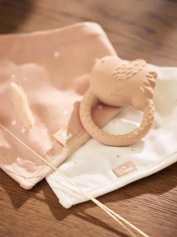 Jollein Bib Bandana (2Pack) Twinkling Wild Rose