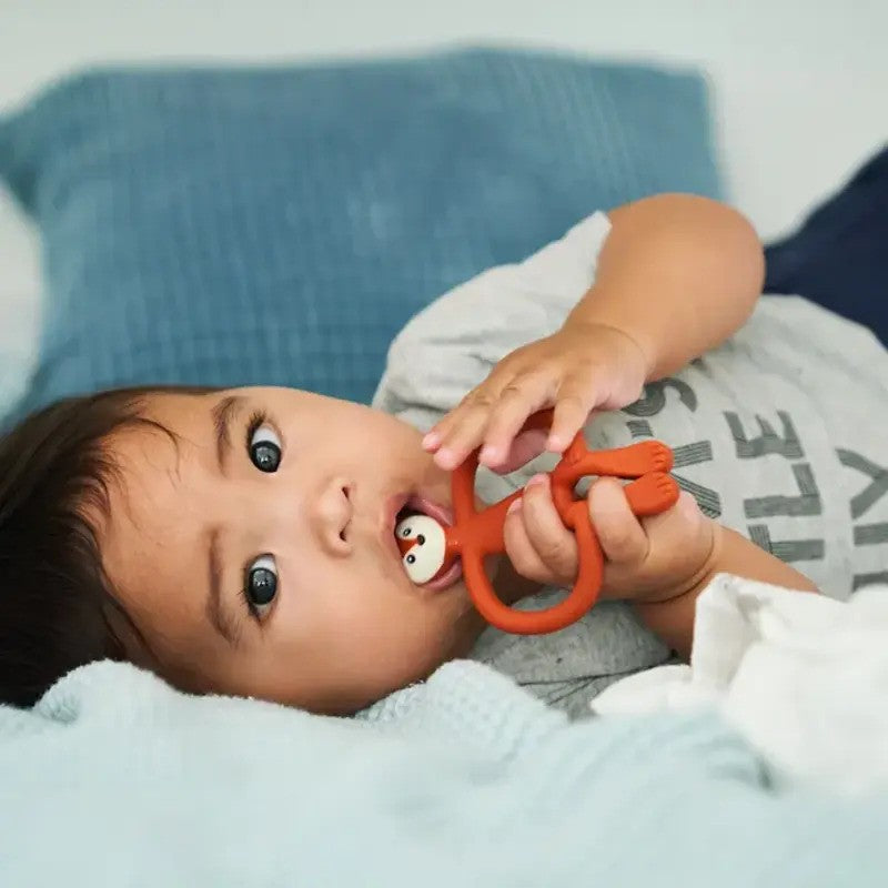 Matchstick Monkey Animals Fudge Fox