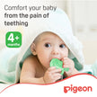 Pigeon Cooling Teether (Guitar)