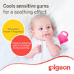 Pigeon Cooling Teether (Piano)