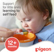 Pigeon Do-it-Myself Dish Stage-2