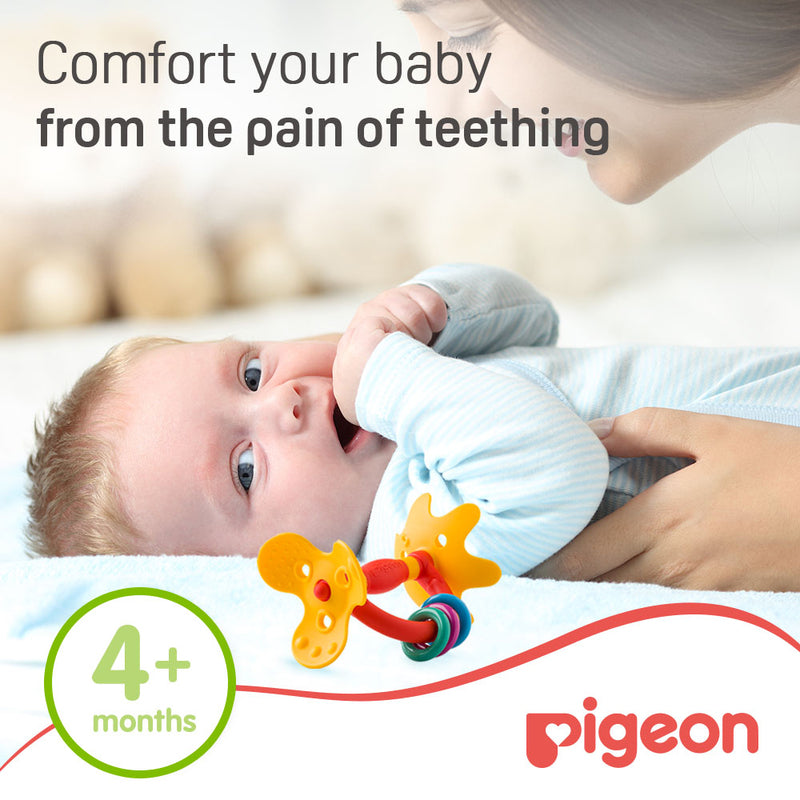 Pigeon Training Teether Step 1