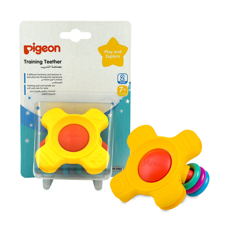 Pigeon Training Teether Step 2