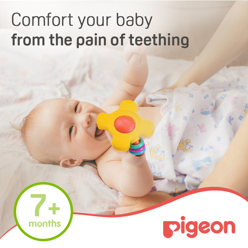 Pigeon Training Teether Step 2