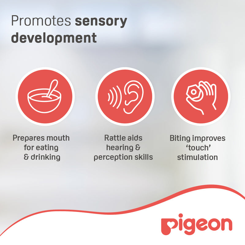 Pigeon Training Teether Step 2