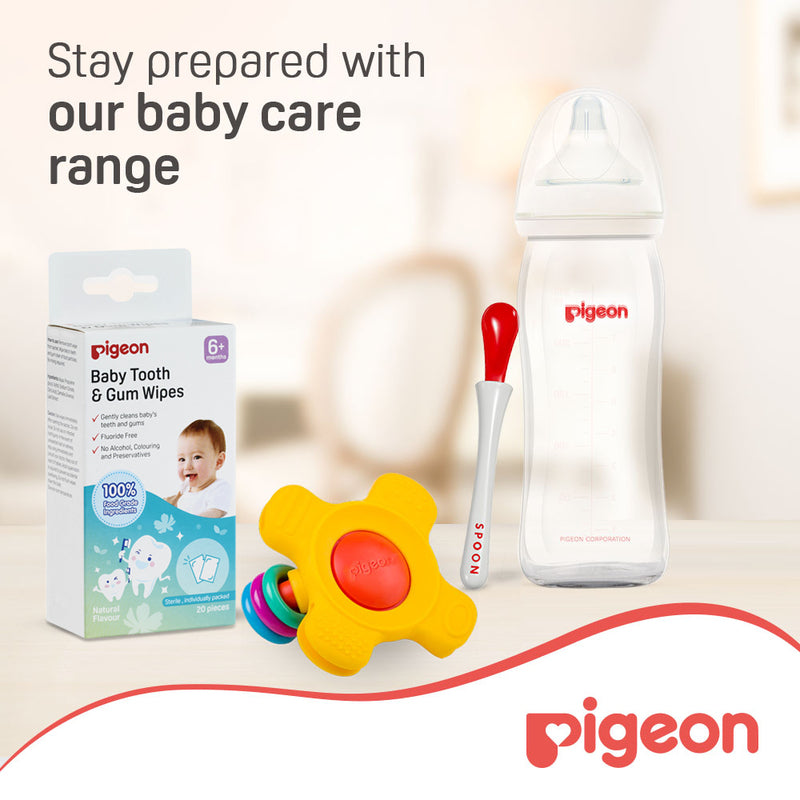 Pigeon Training Teether Step 2