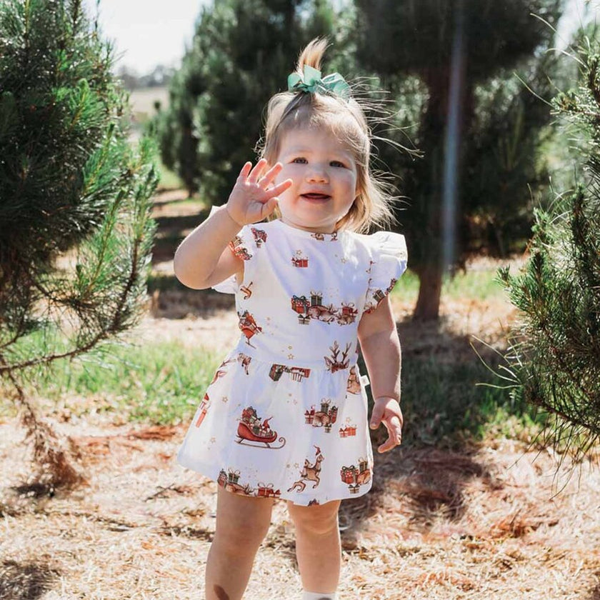 Snuggle Hunny Organic Dress with Frill Reindeer