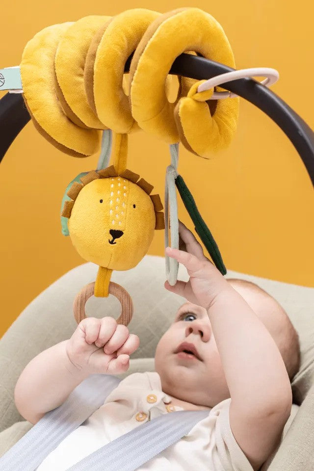 Trixie Activity Spiral Mr. Lion (3m-Plus)