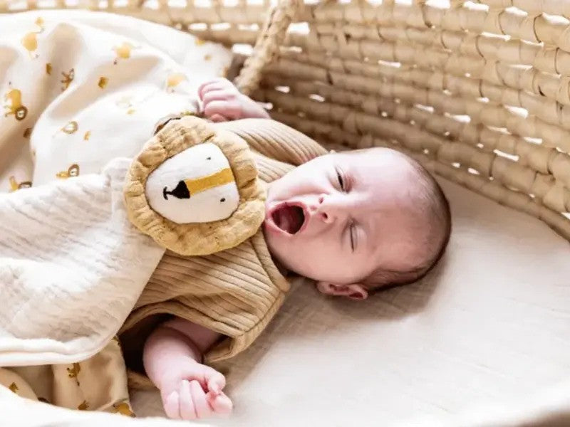 Trixie Comforter Mr. Lion Bliss Beige (0m-Plus)