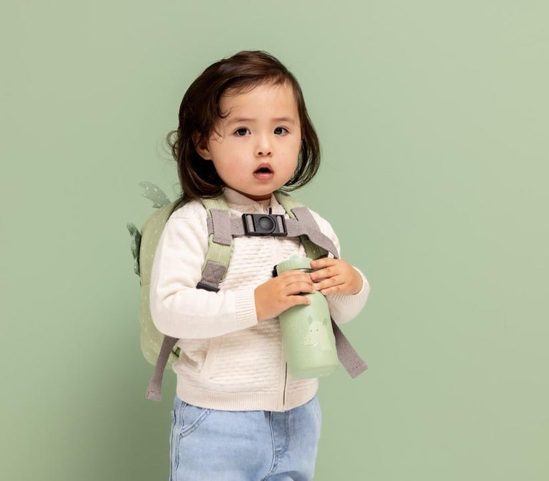 Trixie Drinking Bottle 350ml Mr. Dragon