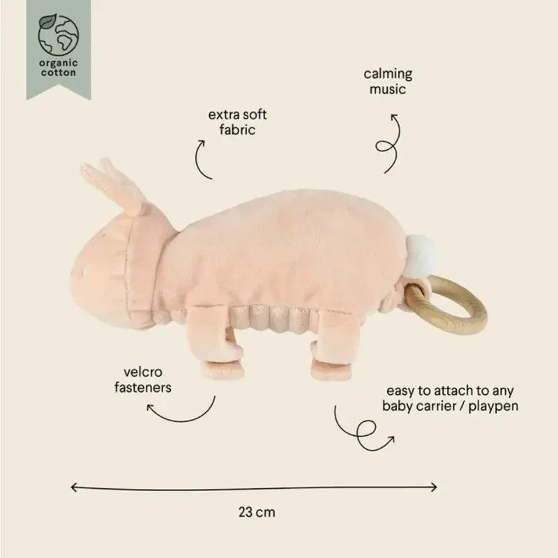 Trixie Music Toy Mrs.Rabbit (0m-Plus)