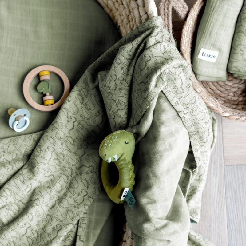Trixie Rattle Mr. Dino (3m-Plus)