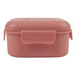 Trixie Snack Box With Clips Fruit Fairy Mrs. Butterfly