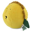 Trixie Sound Ball Mr. Lion (6M-Plus)