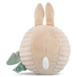 Trixie Sound Ball Mrs. Rabbit (6m-Plus)