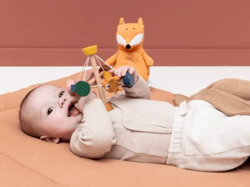 Trixie Wooden Activity Ball (10m-Plus)