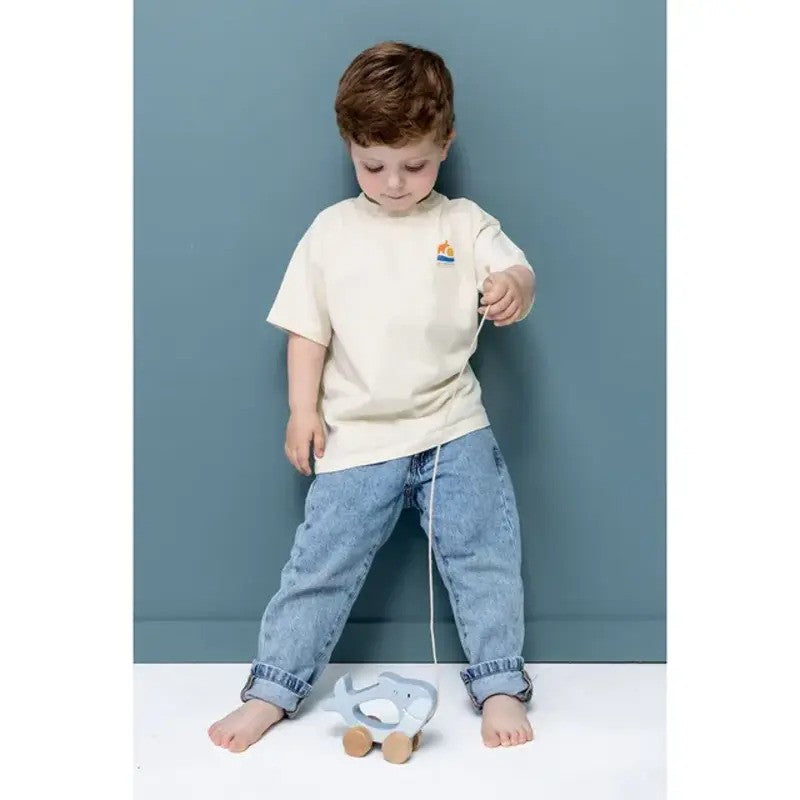 Trixie Wooden Pull Along Toy Mr. Shark