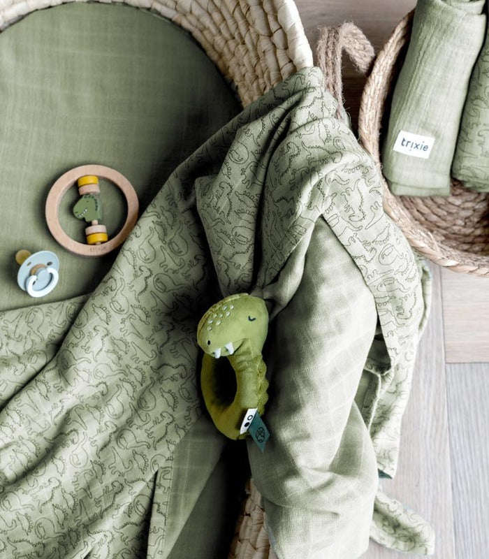 Trixie Wooden Round Rattle Mr. Dino