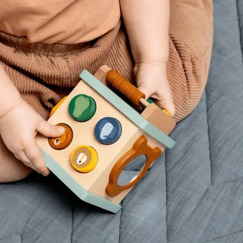 Trixie Wooden Small Activity Cube