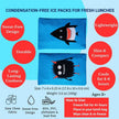 Yumbox Gel Ice Pack Duo Monster & Shark