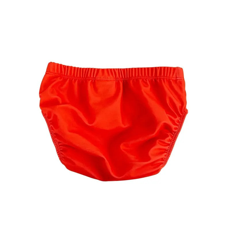 Zoocchini Reuseable Swim Diaper Set Dinosaur