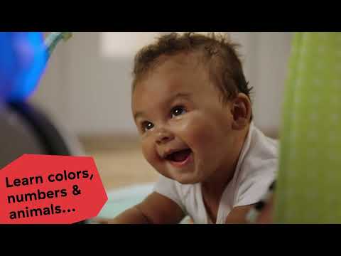 Baby Einstein 4-in-1 Kickin Tunes Musical Meadow Music & Language Discovery Gym (0M-Plus)