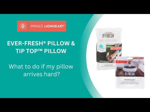 Prince Lionheart Everfresh Replacement Pillow White
