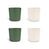 Citron 2022 PLA Cup Set of 4 - Green/Cream