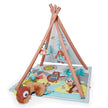 Skip Hop Camping Cubs Activity Gym