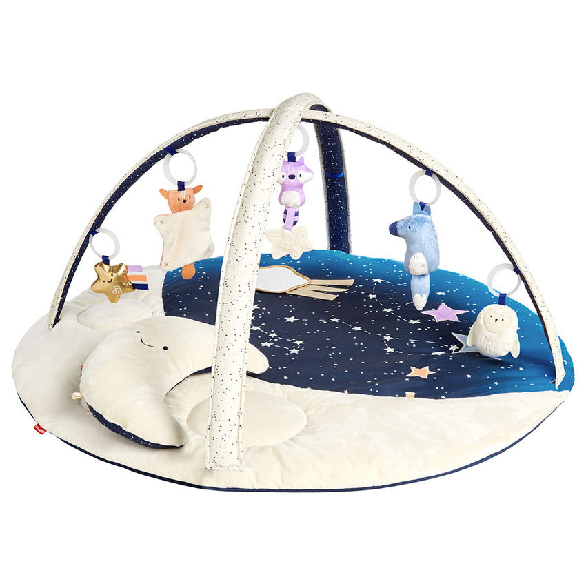 Skip Hop Celestial Dreams Activity Gym