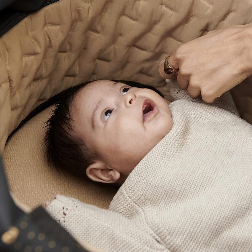 Stokke Xplory X Carry Cot Signature Gold